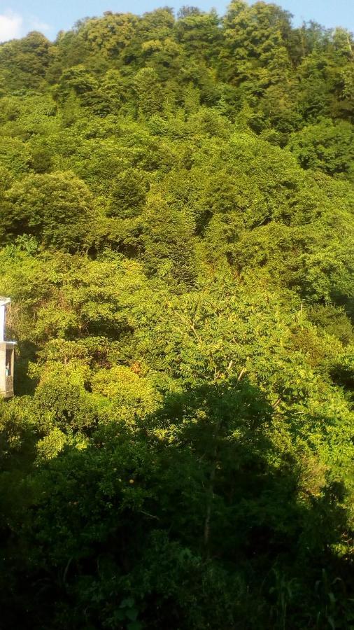 Guest House Marineza โกนิโอ ภายนอก รูปภาพ